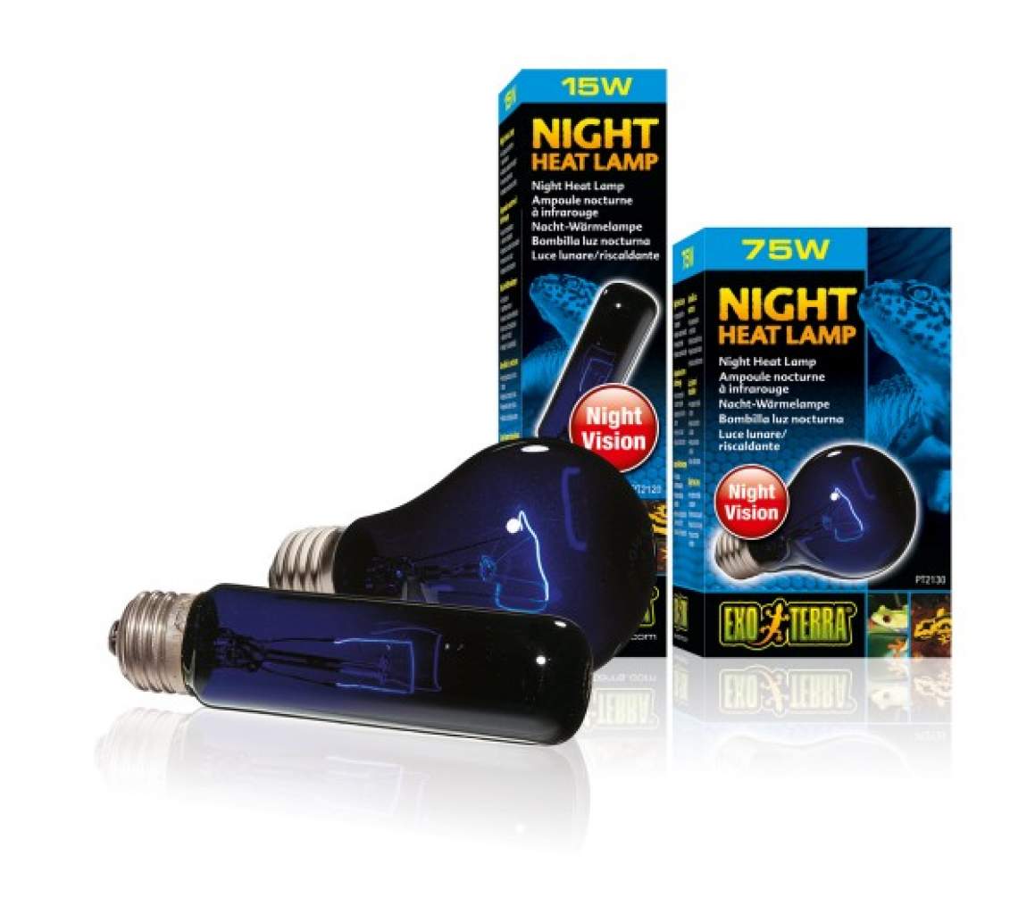 Exo Terra Night Heat Lamp